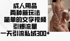 成人用品两种新玩法，简单的文字视频引爆流量，一天引流私域300+|淘骐网赚资源库