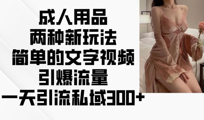 成人用品两种新玩法,简单的文字视频引爆流量,一天引流私域300+|淘骐网赚资源库