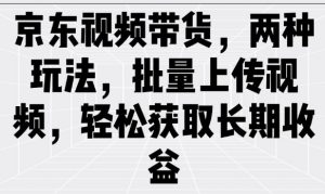 京东视频带货,两种玩法,批量上传视频,轻松获取长期收益|淘骐网赚资源库