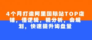 4个月打造阿里国际站TOP店铺,懂逻辑,精分析,会规划,快速提升询盘量|淘骐网赚资源库