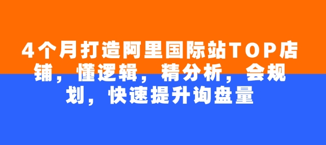 4个月打造阿里国际站TOP店铺,懂逻辑,精分析,会规划,快速提升询盘量|淘骐网赚资源库