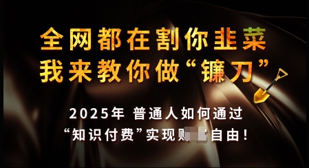 知识付费如何做到月入过W+,2025我来教你做“镰刀”【揭秘】|淘骐网赚资源库
