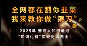 全网都在割你韭菜，我来教你做镰刀，2025年普通人如何通过 知识付费 实现财F自由【揭秘】|淘骐网赚资源库