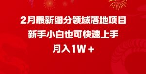 2月最新细分领域落地项目,新手小白也可快速上手,月入1W|淘骐网赚资源库