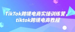 TikTok跨境电商实操训练营,tiktok跨境电商教程|淘骐网赚资源库