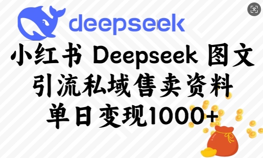 小红书Deepseek图文引流私域售卖资料，单日变现多张|淘骐网赚资源库