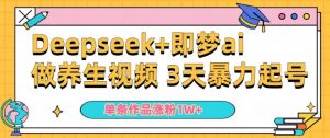 小白用DeepSeek+即梦做ai养生视频,一条作品涨粉5万+,单日收益多张|淘骐网赚资源库