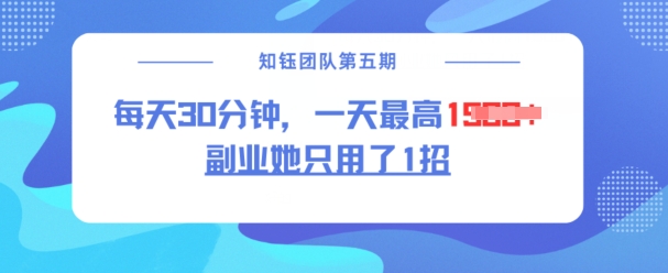 副业她只用了1招,每天30分钟,无脑二创,一天最高1.5k|淘骐网赚资源库