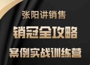 张阳讲销售实战训练营，​案例实战训练，销冠全攻略|淘骐网赚资源库