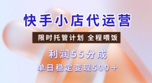 快手小店代运营3.0,模式新升级,收益55分,稳定单日5张【揭秘】|淘骐网赚资源库