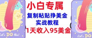 复制粘贴挣美金,0门槛,1天收入95美刀,3分钟学会,内部教程(首次公开)|淘骐网赚资源库