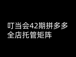 叮当会拼多多打爆班原创高阶技术第42期，拼多多全店托管矩阵|淘骐网赚资源库