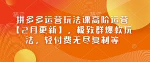 拼多多运营玩法课高阶运营【2月更新】,极致群爆款玩法,轻付费无尽复制等|淘骐网赚资源库