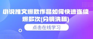 小说推文爆款作品如何快速连续爆多次(分镜洗稿)|淘骐网赚资源库
