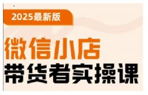 2025最新版微信小店带货者实操课,基础操作到高级运营技巧,快速上手|淘骐网赚资源库