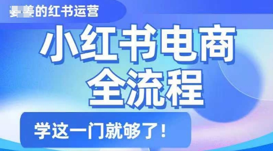 小红书电商全流程，精简易懂，从入门到精通，学这一门就够了|淘骐网赚资源库