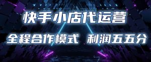 快手小店代运营 限时托管计划 合作模式 利润五五分成【揭秘】|淘骐网赚资源库