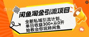 闲鱼淘金私域引流计划，从0开始玩转闲鱼，副业也可以挣到全职的工资|淘骐网赚资源库