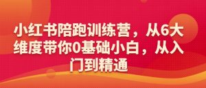 小红书陪跑训练营,从6大维度带你0基础小白,从入门到精通|淘骐网赚资源库