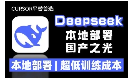 2025年deepseek R1 大型模型本地安装部署(文件+教程)本地部署,超低训练成本|淘骐网赚资源库