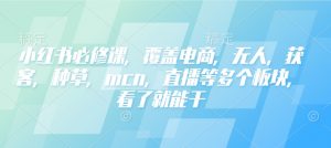 小红书必修课,覆盖电商,无人,获客,种草,mcn,直播等多个板块,看了就能干|淘骐网赚资源库