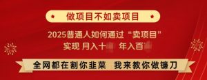 必看,做项目不如卖项目,2025普通人如何通过“卖项目”实现月入十个,年入百个|淘骐网赚资源库