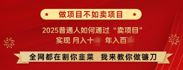 必看,做项目不如卖项目,2025普通人如何通过“卖项目”实现月入十个,年入百个|淘骐网赚资源库