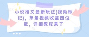 小说推文最新玩法(视频标记)，单条视频收益四位数，详细教程来了|淘骐网赚资源库