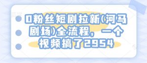 0粉丝短剧拉新(河马剧场)全流程,一个视频搞了2954|淘骐网赚资源库