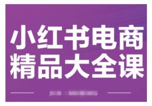 小红书电商精品大全课,快速掌握小红书运营技巧,实现精准引流与爆单目标,轻松玩转小红书电商|淘骐网赚资源库