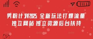 男粉计划2025  全新玩法打爆流量 独立网站 独立资源后台扶持【揭秘】|淘骐网赚资源库