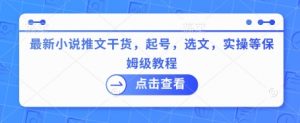 最新小说推文干货，起号，选文，实操等保姆级教程|淘骐网赚资源库