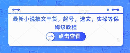 最新小说推文干货,起号,选文,实操等保姆级教程|淘骐网赚资源库