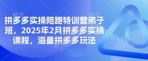 拼多多实操陪跑特训营弟子班,2025年2月拼多多实操课程,海量拼多多玩法|淘骐网赚资源库