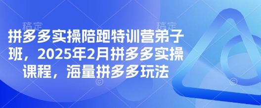 拼多多实操陪跑特训营弟子班,2025年2月拼多多实操课程,海量拼多多玩法|淘骐网赚资源库