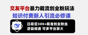 交友平台暴力截流创业粉玩法,知识付费新人引流必修课,日稳定300+精准创业粉丝,逻辑相通可多平台放大|淘骐网赚资源库