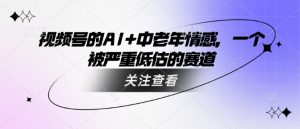 视频号的AI+中老年情感，一个被严重低估的赛道|淘骐网赚资源库