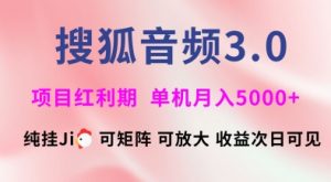 搜狐音频挂ji3.0.可矩阵可放大,独家技术,稳定月入5000+【揭秘】|淘骐网赚资源库