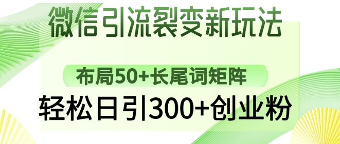 微信引流裂变新玩法:布局50+长尾词矩阵,轻松日引300+创业粉|淘骐网赚资源库