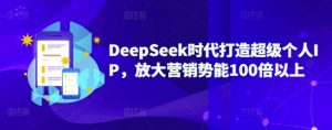 DeepSeek时代打造超级个人IP，放大营销势能100倍以上|淘骐网赚资源库