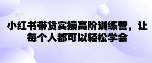 小红书带货实操高阶训练营,让每个人都可以轻松学会|淘骐网赚资源库