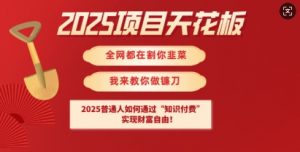 2025项目天花板普通人如何通过知识付费,实现财F自由【揭秘】|淘骐网赚资源库