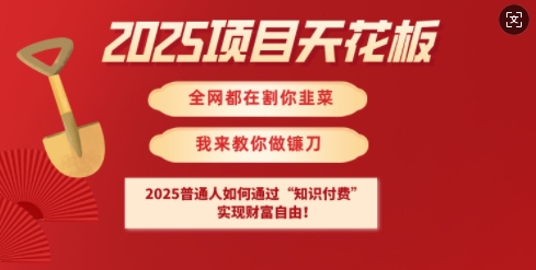 2025项目天花板普通人如何通过知识付费,实现财F自由【揭秘】|淘骐网赚资源库