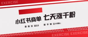 小红书商单2.0最新玩法，3天涨千粉单日变现多张|淘骐网赚资源库