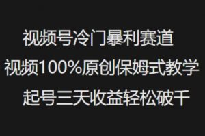 视频号冷门暴利赛道视频100%原创保姆式教学起号三天收益轻松破千|淘骐网赚资源库