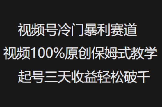 视频号冷门暴利赛道视频100%原创保姆式教学起号三天收益轻松破千|淘骐网赚资源库