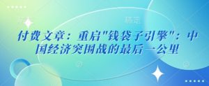 付费文章:重启”钱袋子引擎”:中国经济突围战的最后一公里|淘骐网赚资源库