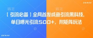 【引流必备】全网首发咸鱼引流黑科技，单日曝光引流500+，附矩阵玩法【揭秘】|淘骐网赚资源库