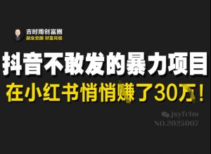 抖音不敢发的暴利项目，在小红书悄悄挣了30W|淘骐网赚资源库