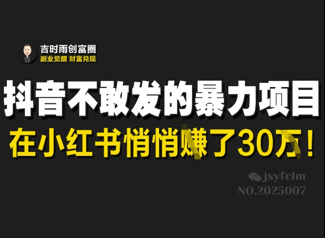抖音不敢发的暴利项目，在小红书悄悄挣了30W|淘骐网赚资源库